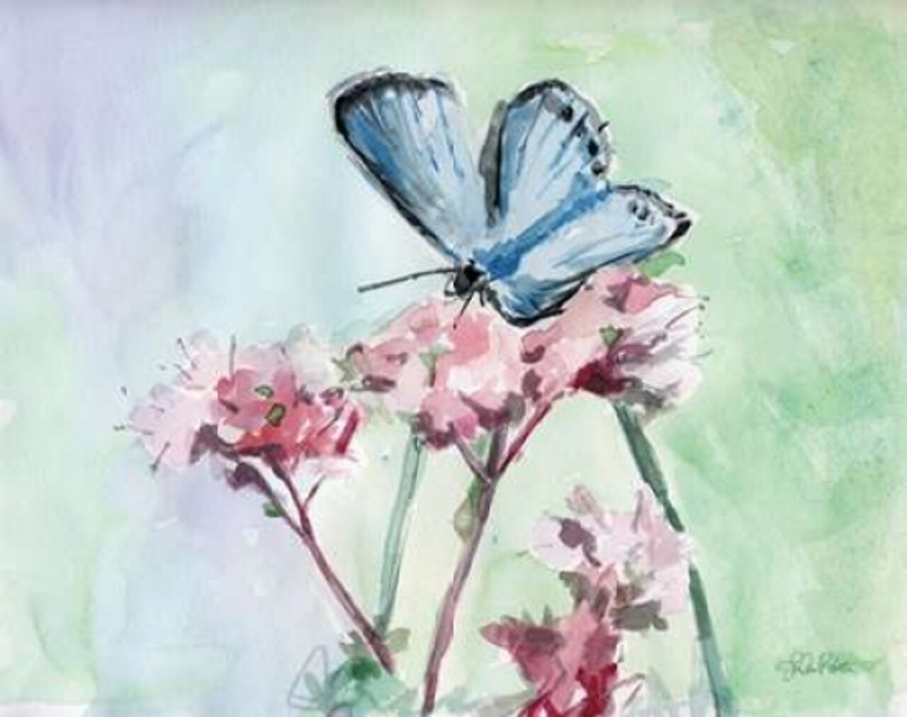 Watercolor Butterfly I Poster Print by LuAnn Roberto - Item # VARPDXRTO104